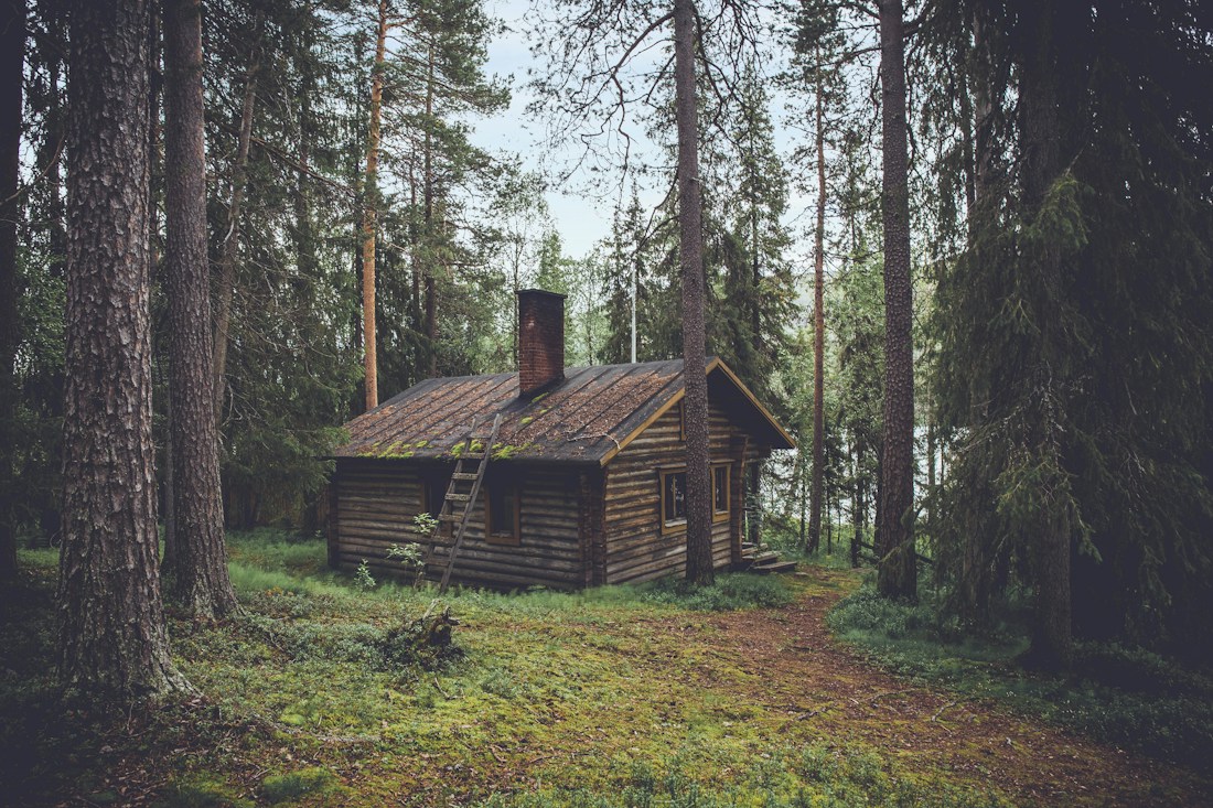 A building framed by trees in a peaceful natural setting